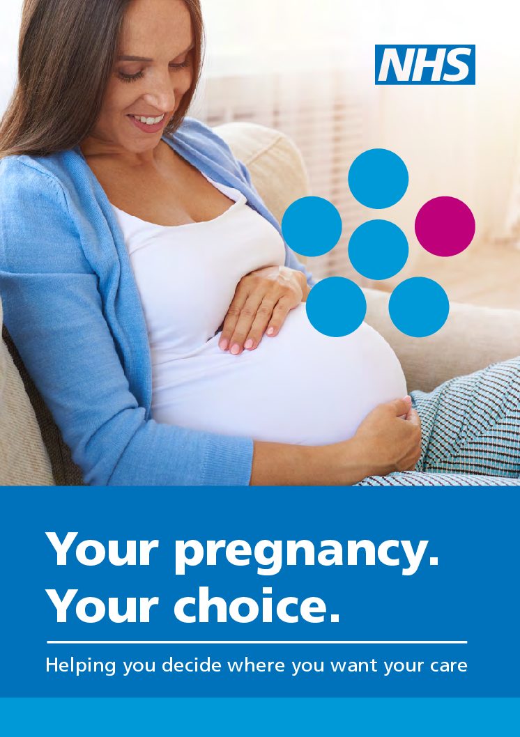 Pregnancy Booklet Nhs Pregnancywalls 1350
